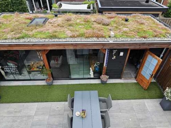 Sedumdak op tuinkamer - foto 1